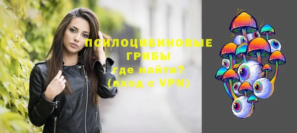 ПСИЛОЦИБИНОВЫЕ ГРИБЫ Алексеевка