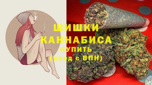 ПСИЛОЦИБИНОВЫЕ ГРИБЫ Алексеевка